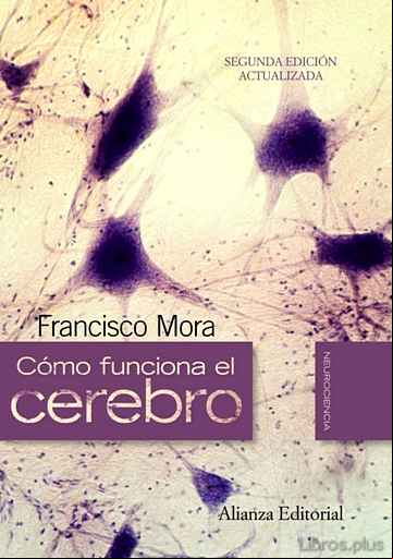 Descargar ebook COMO FUNCIONA EL CEREBRO (2ª ED.)