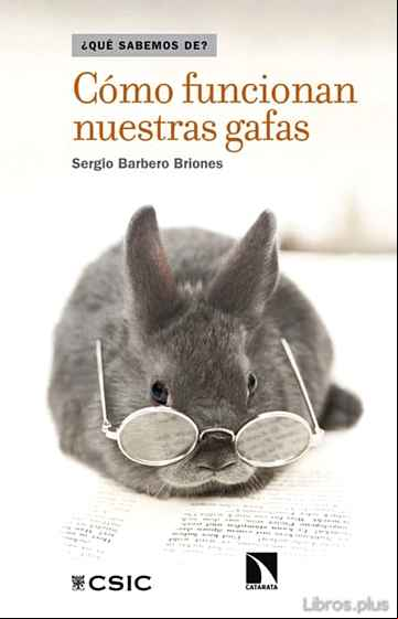 Descargar gratis ebook COMO FUNCIONAN NUESTRAS GAFAS en epub
