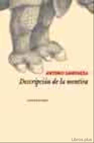 Descargar ebook DESCRIPCION DE LA MENTIRA
