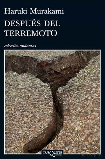 Descargar gratis ebook DESPUES DEL TERREMOTO en epub