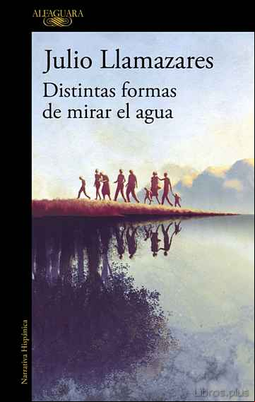 Descargar gratis ebook DISTINTAS FORMAS DE MIRAR EL AGUA en epub