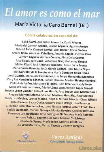 Descargar ebook EL AMOR ES COMO EL MAR