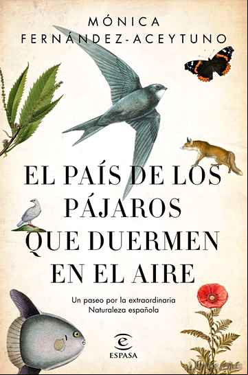 Descargar gratis ebook EL PAIS DE LOS PAJAROS QUE DUERMEN EN EL AIRE en epub