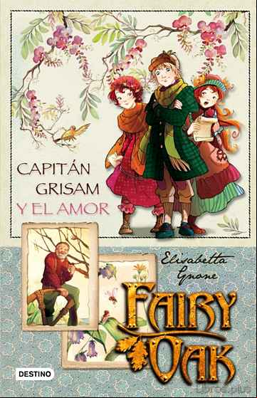 Descargar ebook FAIRY OAK: CAPITAN GRISAM Y EL AMOR