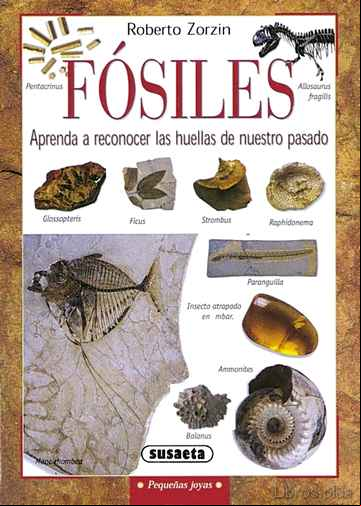 Descargar ebook FOSILES: APRENDE A RECONOCER LAS HUELLAS DE NUESTRO PASADO