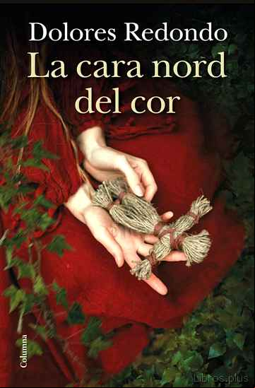Descargar gratis ebook LA CARA NORD DEL COR en epub