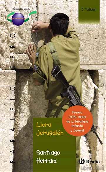 Descargar ebook LLORA JERUSALEN