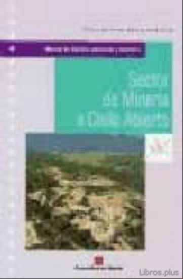 Descargar ebook MANUAL DE GESTION AMBIENTAL Y AUDITORIA: SECTOR DE MINERIA A CIEL O ABIERTO