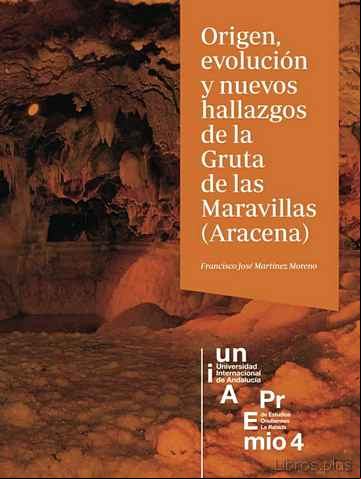 Descargar gratis ebook ORIGEN, EVOLUCIÓN Y NUEVOS HALLAZGOS DE LA GRUTA DE LAS MARAVILLA S (ARACENA) en epub