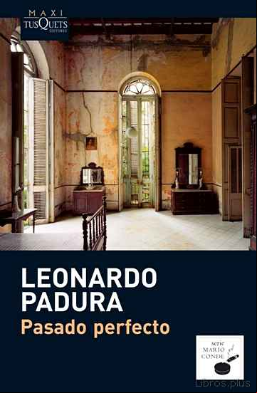 Descargar gratis ebook PASADO PERFECTO en epub