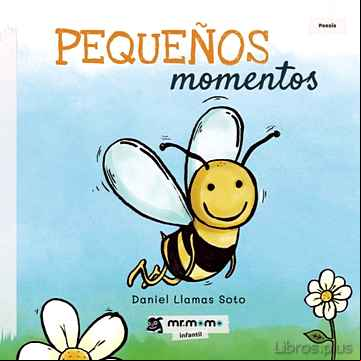 Descargar gratis ebook PEQUEÑOS MOMENTOS en epub
