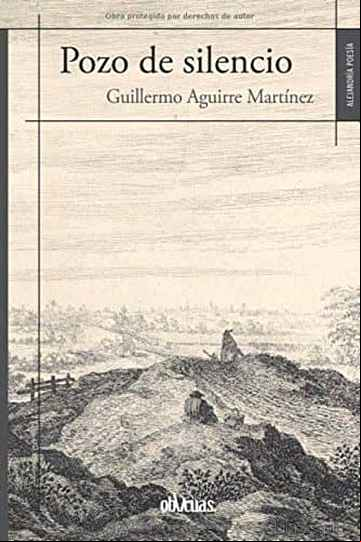 Descargar gratis ebook POZO DE SILENCIO en epub