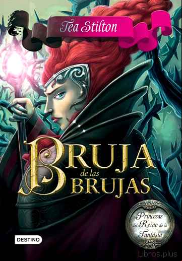 Descargar ebook PRINCESAS DEL REINO DE LA FANTASIA 13: BRUJA DE LAS BRUJAS