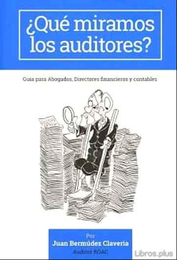 Descargar gratis ebook ¿QUÉ MIRAMOS LOS AUDITORES? en epub