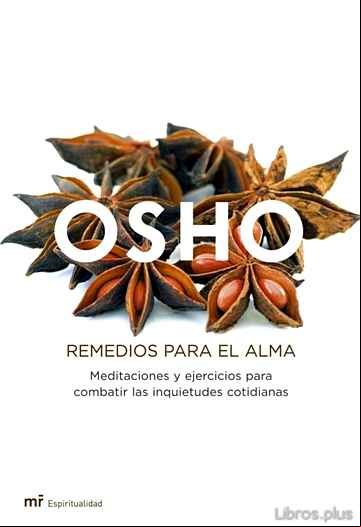 Descargar gratis ebook REMEDIOS PARA EL ALMA: MEDITACIONES Y EJERCICIOS PARA COMBATIR LAS INQUIETUDES COTIDIANAS en epub