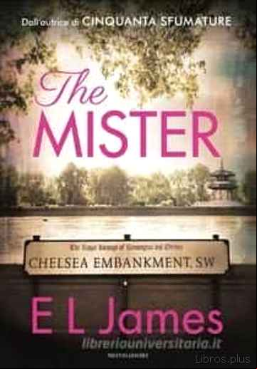 Descargar gratis ebook THE MISTER en epub