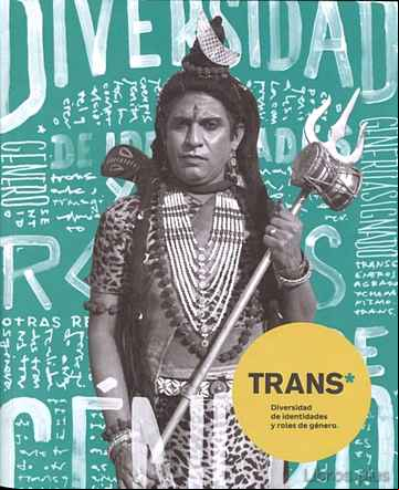 Descargar ebook TRANS. DIVERSIDAD DE IDENTIDADES Y ROLES DE GÉNERO