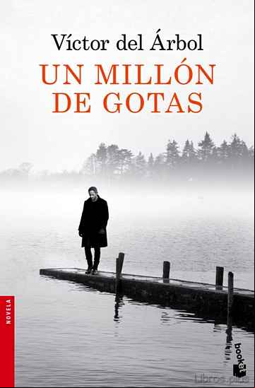 Descargar ebook UN MILLON DE GOTAS