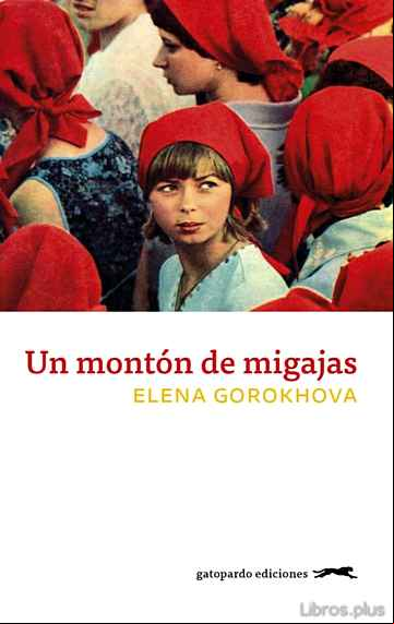 Descargar gratis ebook UN MONTON DE MIGAJAS en epub