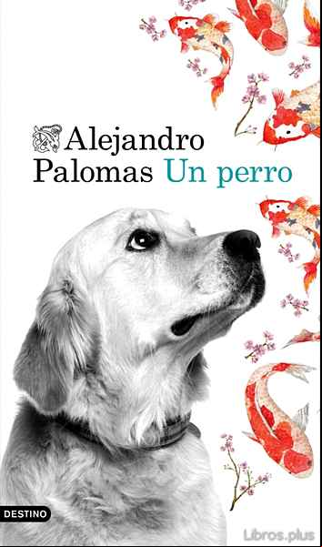 Descargar ebook UN PERRO